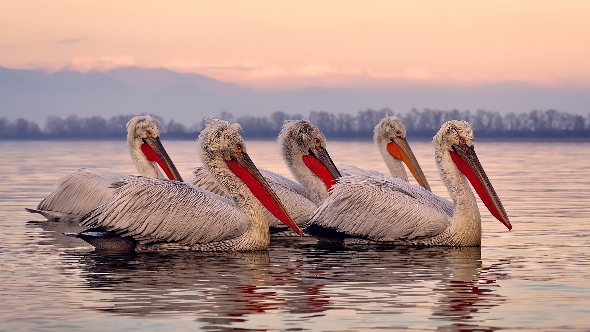 乐鱼体育登录-“跑酷选手勇闯东安湖体育公园，极限运动燃爆全场”