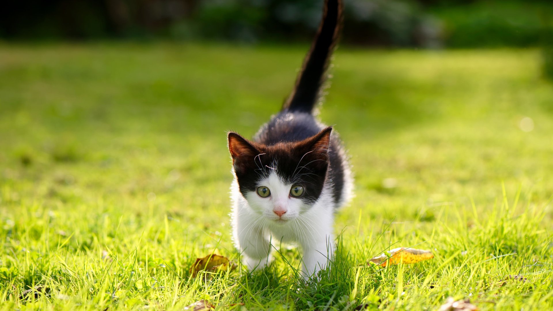 乐鱼电竞在线平台-中国三人篮球女队积极备战国际赛事，中国三人篮球女篮
