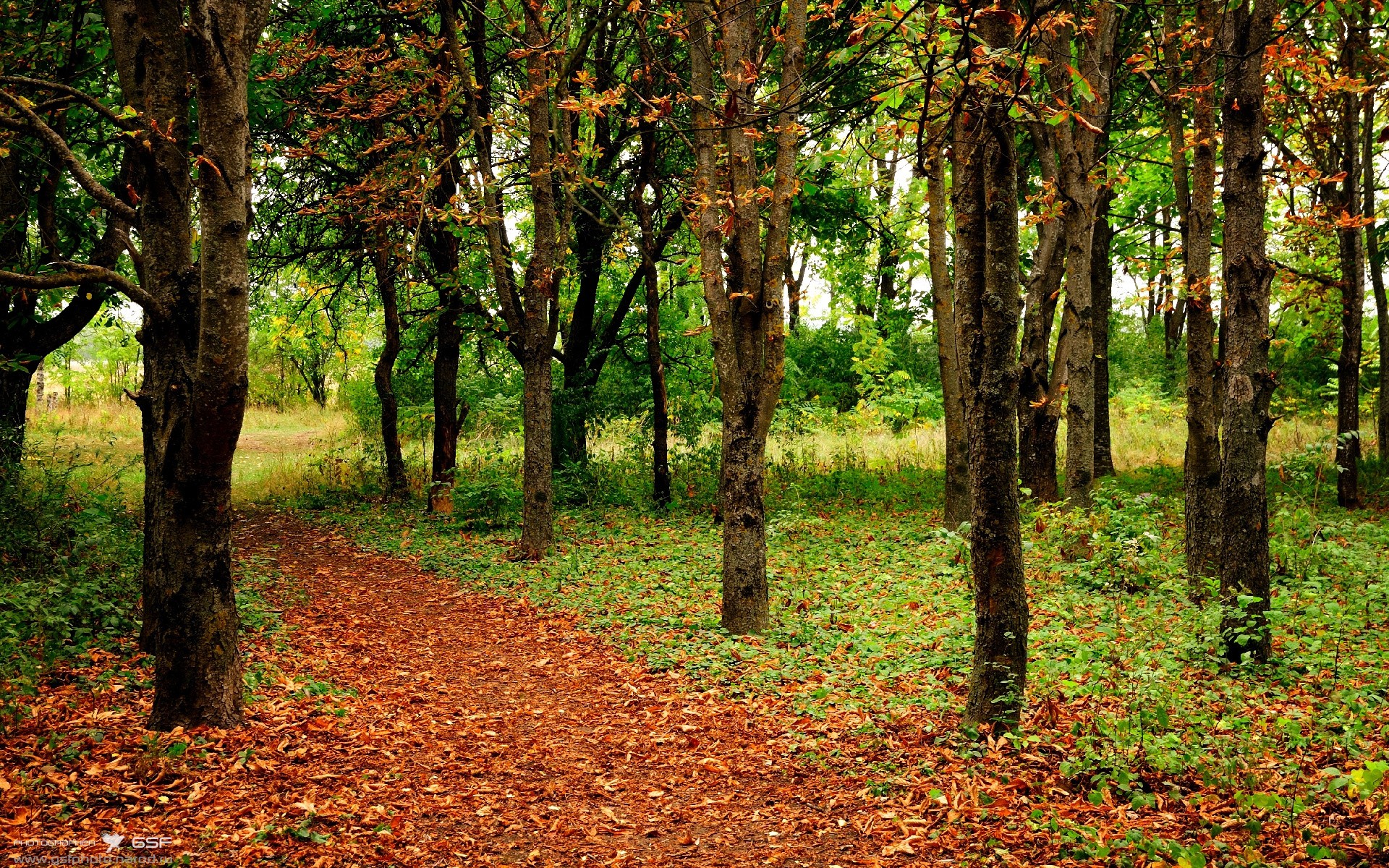 下载乐鱼体育APP-国际乒联混合团体世界杯：澳大利亚队的关键时刻与表现分析，乒乓球澳大利亚队