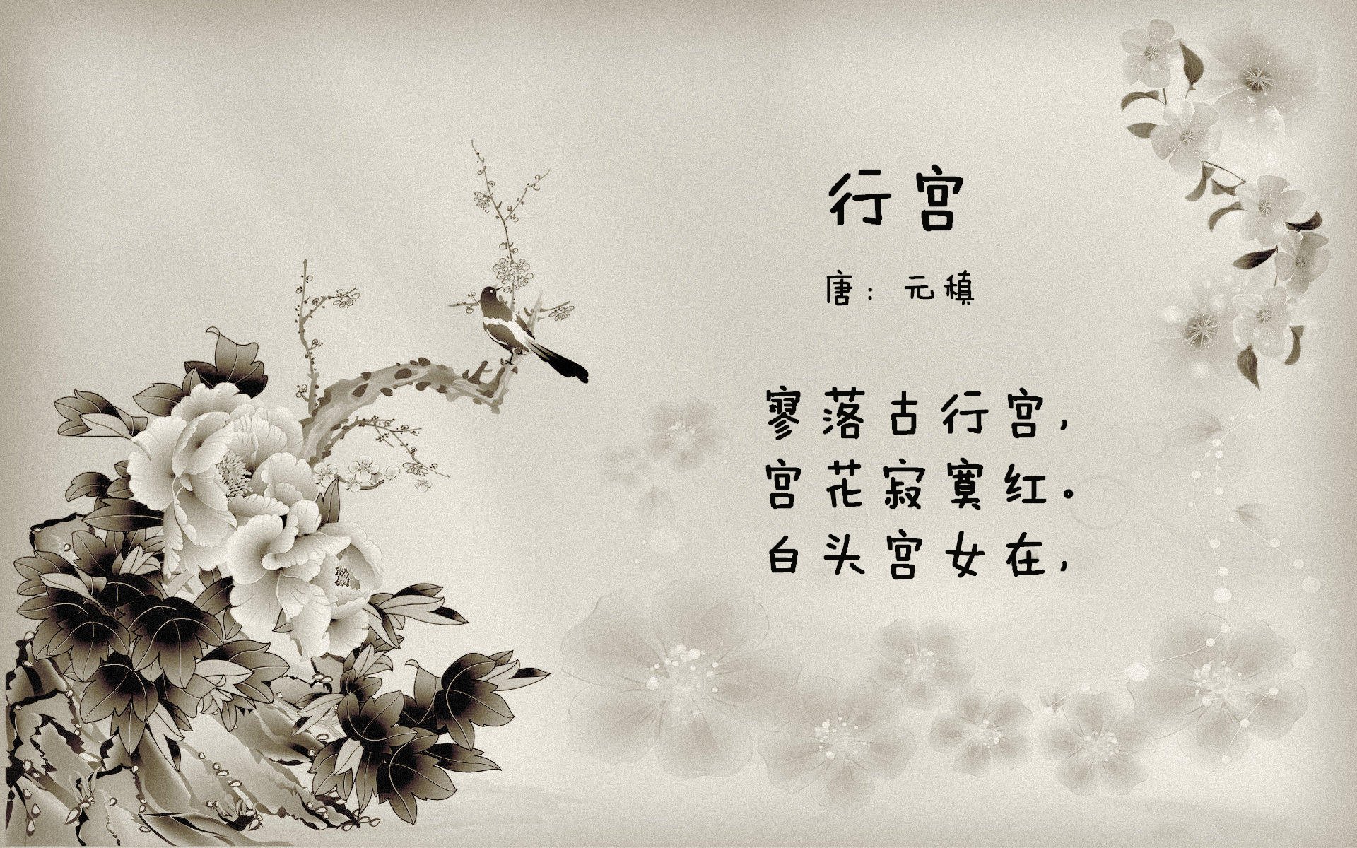 乐鱼体育平台app下载-辽宁飞豹加强板凳深度保持全场强度，辽宁飞豹俱乐部地址