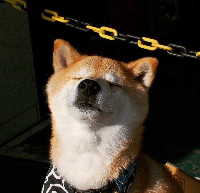 LEYU SPORTS中国官方网站-“萨尔·巴赫：南非羚羊队的新希望，老队员的强大支持”