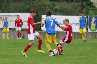 Leyu Sport下载-中国足球主客场制度优化，竞赛公平性提升，中国足球队主场