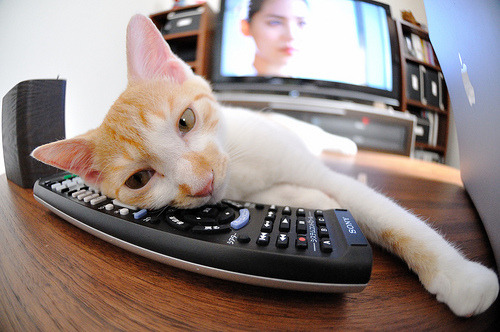 leyu乐鱼-女子篮球青训基地全面提升设施建设，女子篮球训练营