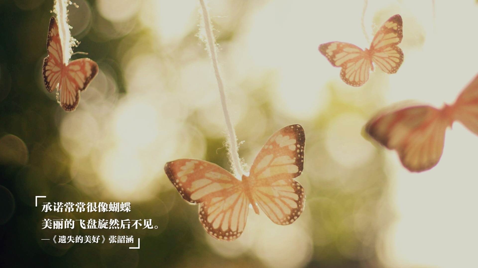 乐鱼体育(中国)官方网站-意甲团队协作：默契配合争夺胜利！，意甲合作伙伴